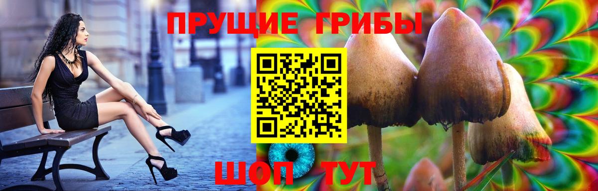 Галлюциногенные грибы GOLDEN TEACHER  Вход с VPN  Ачхой-Мартан  Галлюциногенные грибы ЛСД 